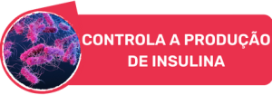 controla-a-producao-de-insulina.png